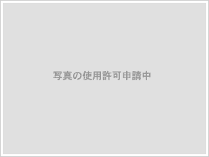 例のKenbiですな