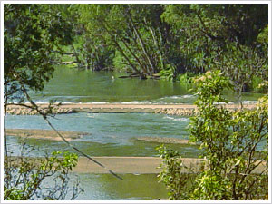 Daly River