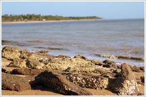 Blue Mud Bay