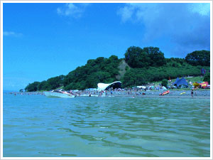 NZ beach