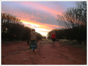 Walking down the bush road